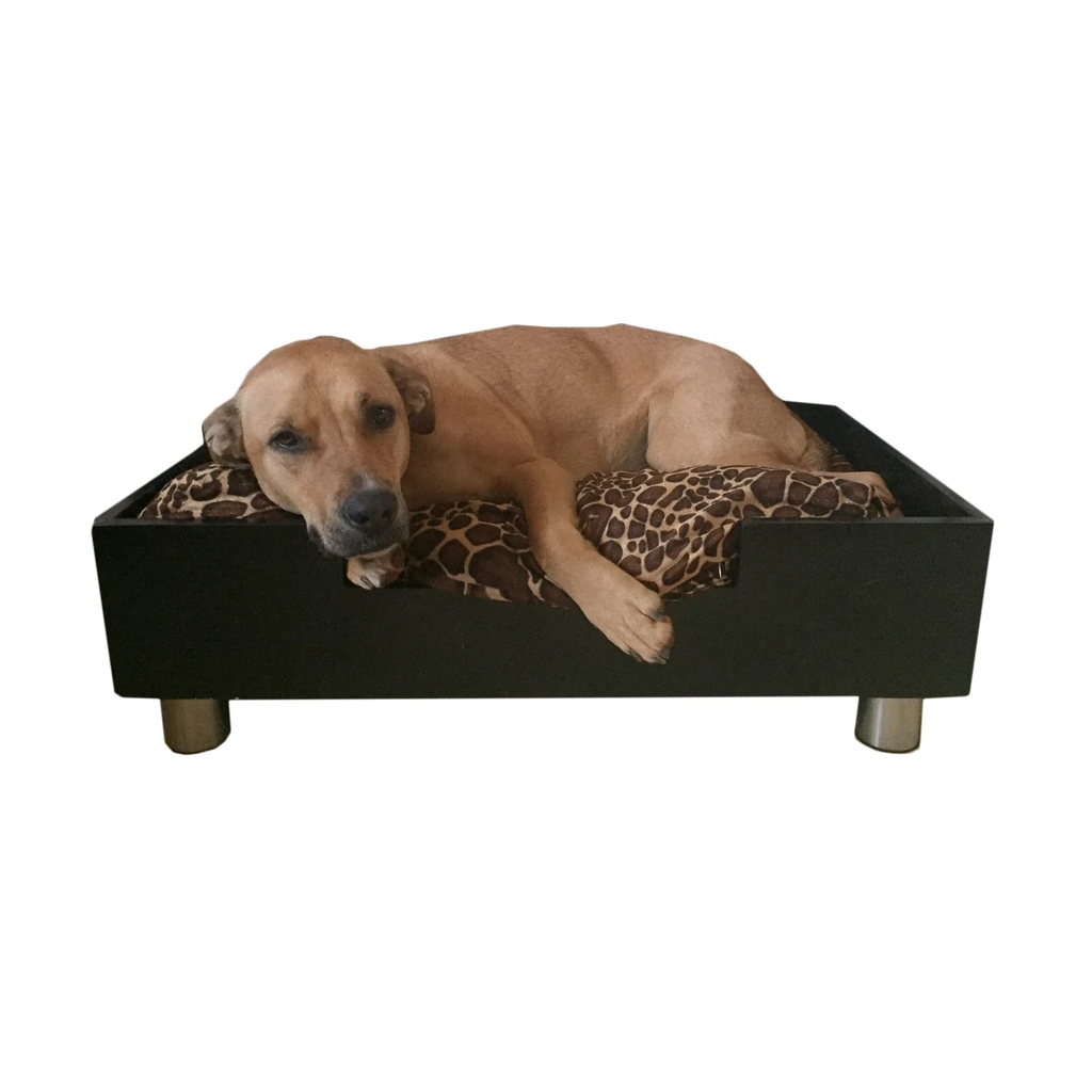 Royal Modern Cozy Pet Bed Low to the Ground Dog or Cat Bed