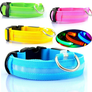 BEST SELLER USB RECHARGEABLE LED PET COLLAR