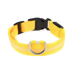 BEST SELLER USB RECHARGEABLE LED PET COLLAR