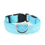 BEST SELLER USB RECHARGEABLE LED PET COLLAR