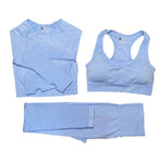 Women Sportswear Yoga Set