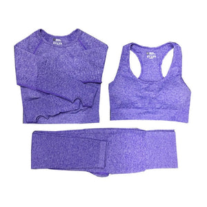 Women Sportswear Yoga Set